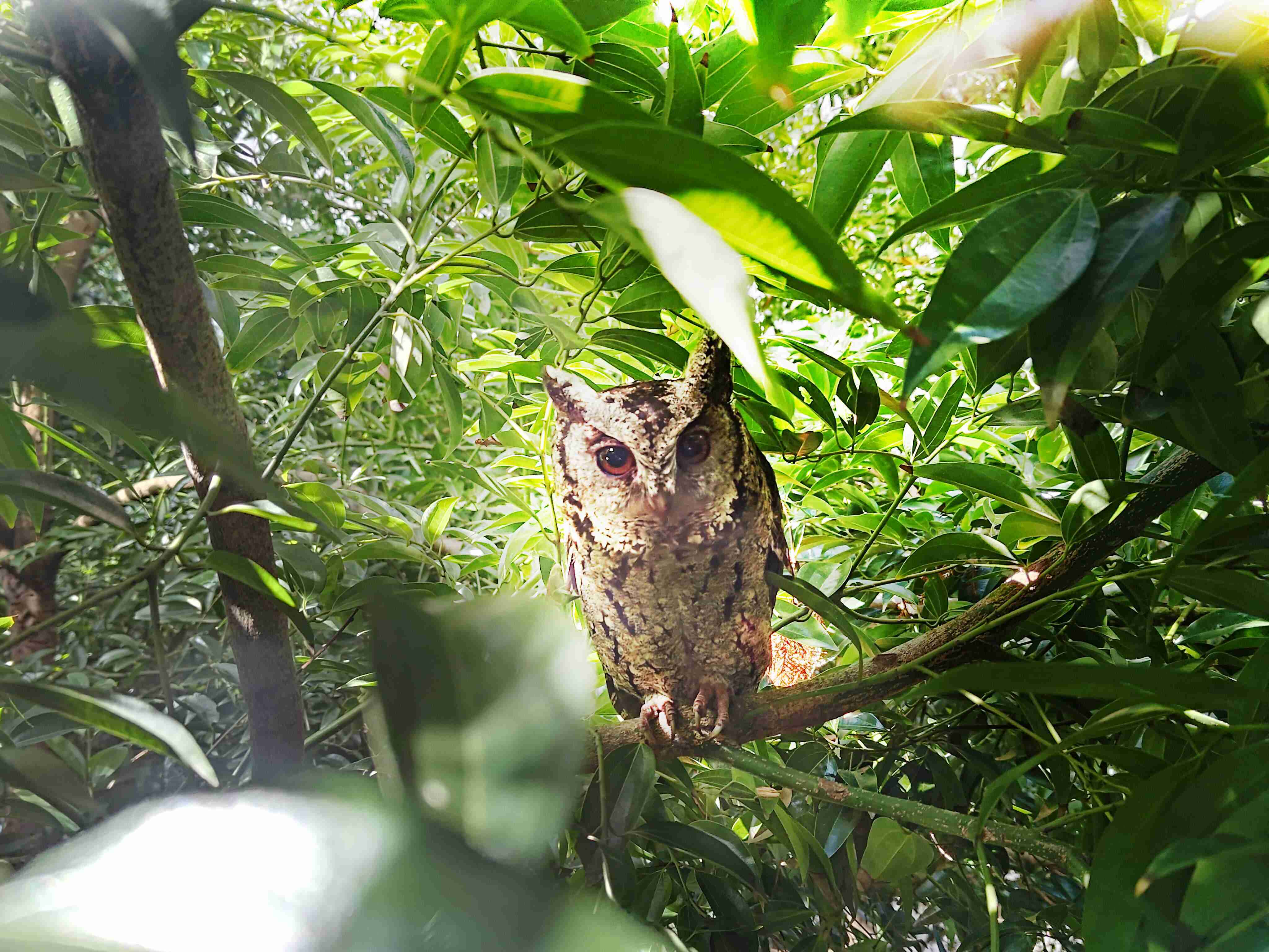 万利致力提倡净零绿生活，，16年以来在全球各厂区植树逾百万棵，，，，造就各厂区树木蔚然成林，，，，犹如森林工厂，，，，成为许多生物的栖息地